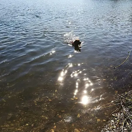 Leuchtturm Am See 아파트 *